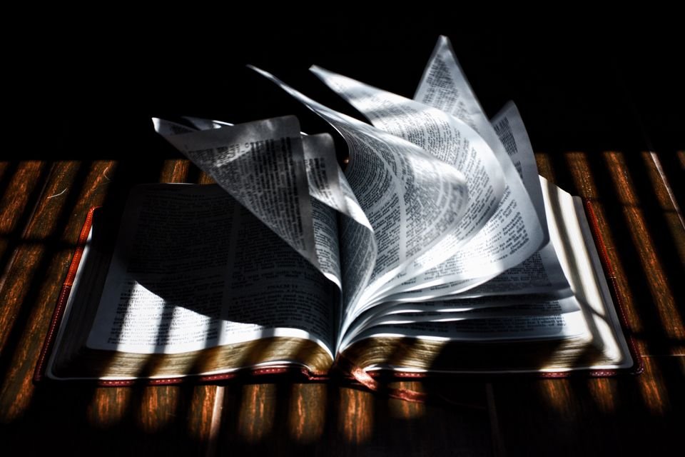 50 Books Every Web Designer Should Read